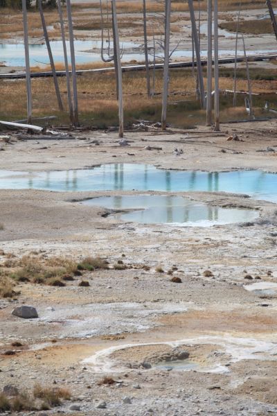 Porcelain Basin, Norris Geyser Basin.
