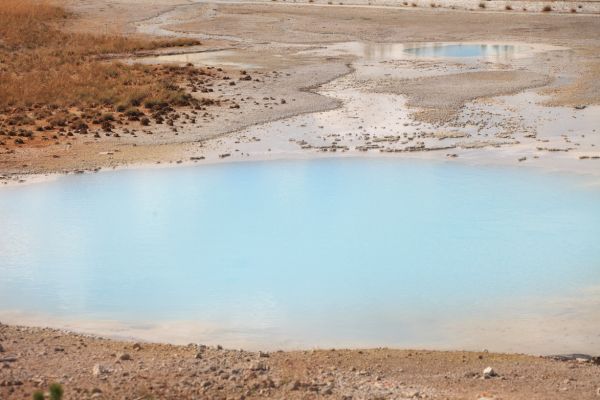 Colloidal Pool, Porcelain Basin, Norris Geyser Basin.
