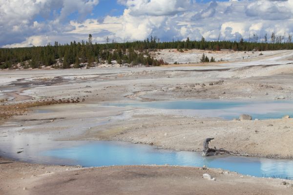 Porcelain Basin, Norris Geyser Basin.
