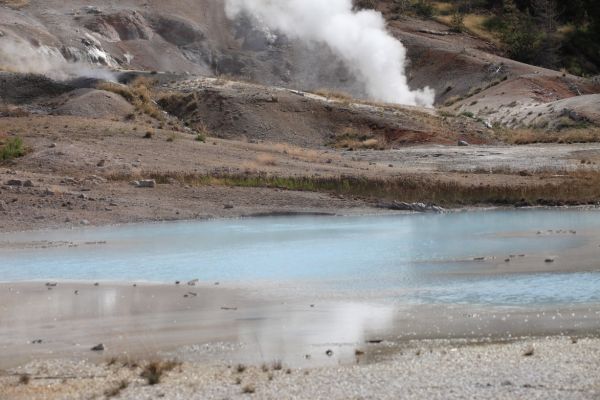 Hurricane Vent; Porcelain Basin, Norris Geyser Basin.
