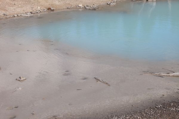 Porcelain Basin; Congress Pool.
