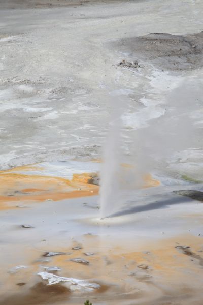 Porcelain Basin, Norris Geyser Basin.
