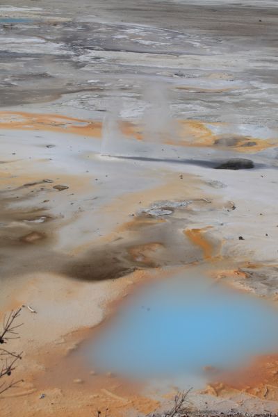 Norris Geyser Basin; Porcelain Basin.
