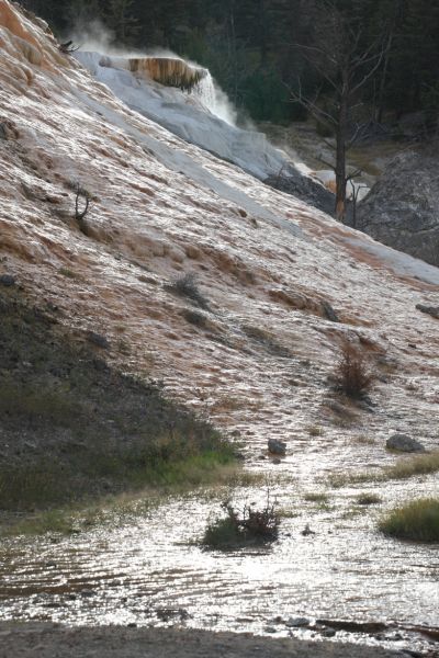 Minerva Terrace towers above and behind Palette Spring in the foreground; Mammoth Hot Springs.
