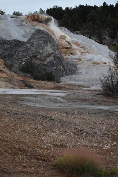 Minerva Terrace; Mammoth Hot Springs.
