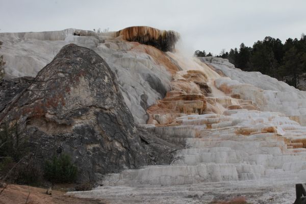 Minerva Terrace; Mammoth Hot Springs.
