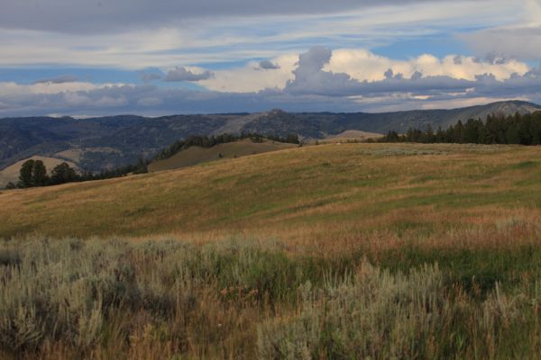 The view east from Blacktail Plateau Drive, a 5 mile, one way scenic dirt road which parallels the road between Mammoth Hot Springs and Roosevelt.
