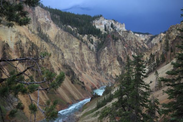 Approaching thunderstorm; Grand Canyon of the Yellowstone below the Lower Falls.
