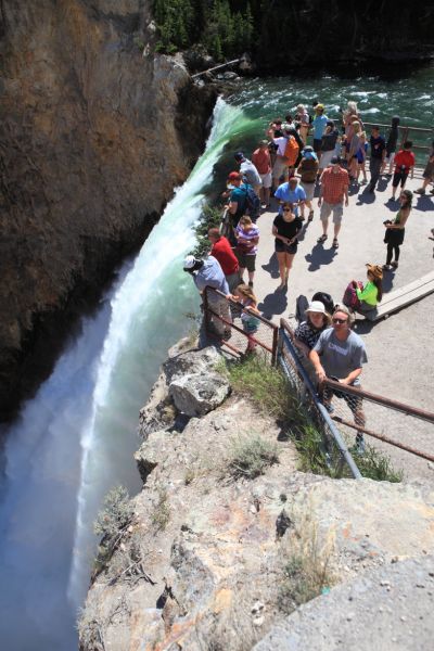 Overlook, Brink of Lower Falls; Yellowstone River, Canyon Village.
