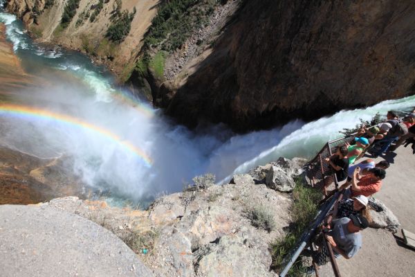 Rainbow, overlook, Brink of Lower Falls; Yellowstone River, Canyon Village.
