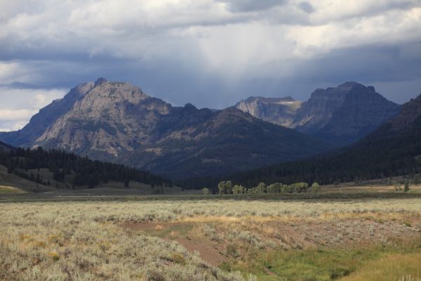 View south from Lamar Valley.
