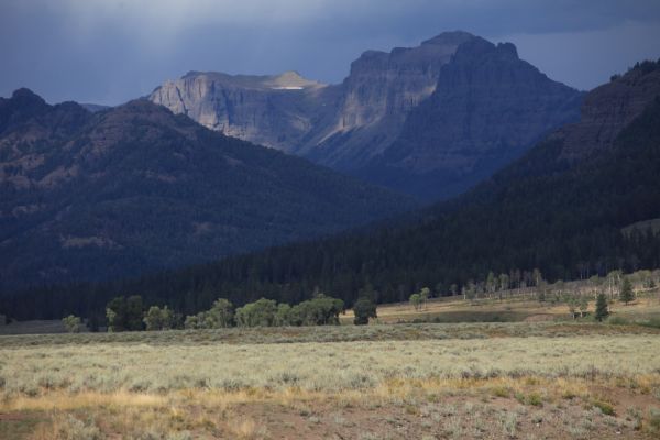 View south from Lamar Valley.
