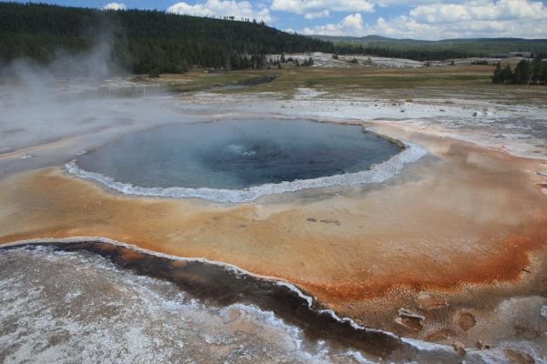 Crested Pool, Upper Geyser Basin.
