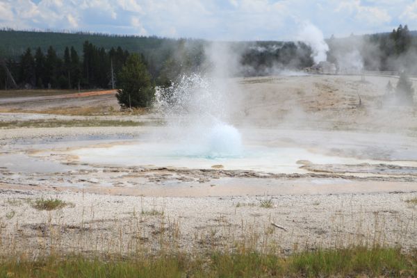 Sawmill Geyser, Upper Geyser Basin.
