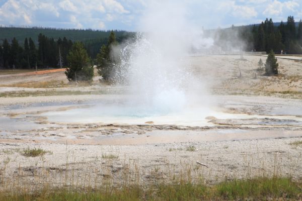 Sawmill Geyser, Upper Geyser Basin.
