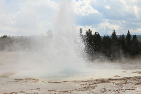 Sawmill Geyser, Upper Geyser Basin.
