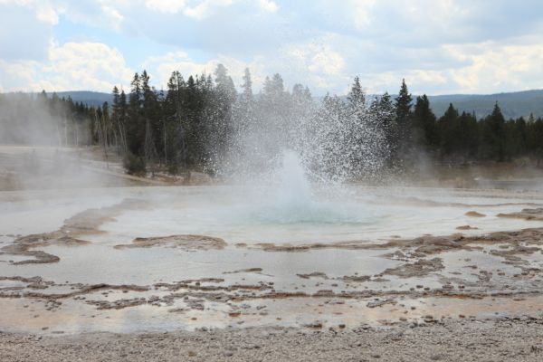 Sawmill Geyser, Upper Geyser Basin.
