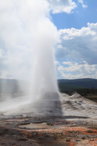 Lion Geyser, Upper Geyser Basin.
