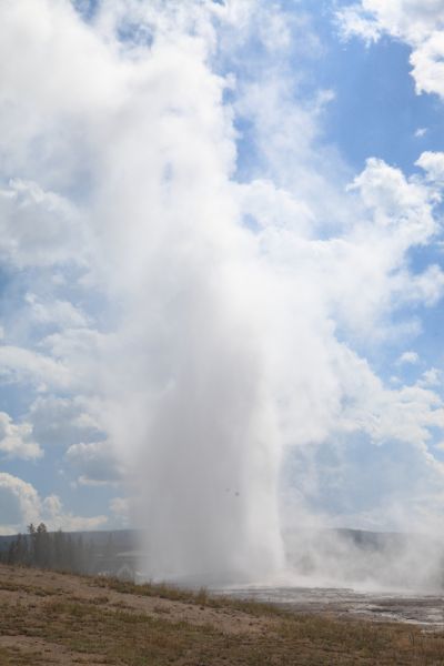 Old Faithful Geyser errupting, Upper Geyser Basin.
