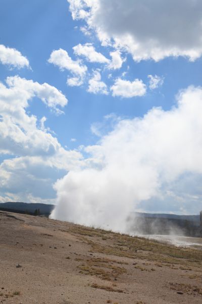 Old Faithful Geyser after eruption, Upper Geyser Basin.
