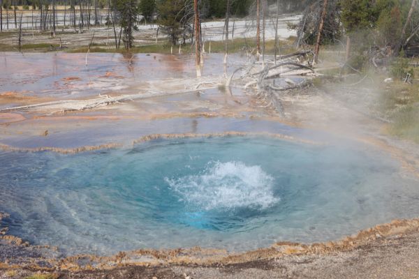 Firehole Spring, Firehole Lake Drive
