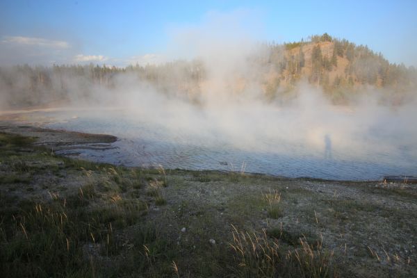 Grass lit by setting sun; steam above runoff from the Excelsior Geyser pool.
