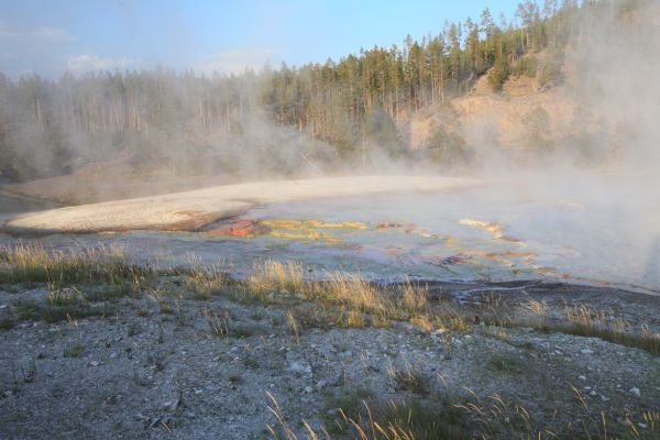 Grass lit by setting sun; steam above runoff from the Excelsior Geyser pool.
