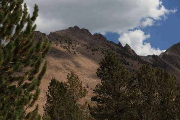 Ridge above trail west of Ants Basin.
