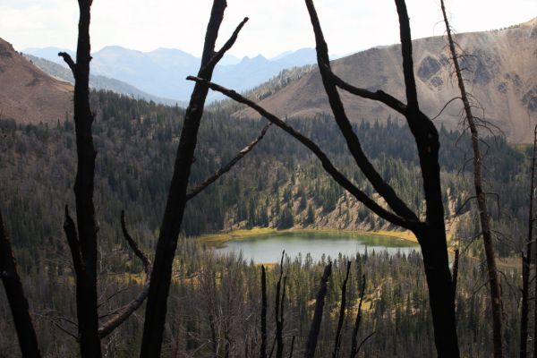 Fourth of July Lake obscured by fire blackened pines.
