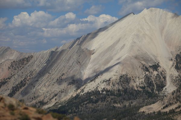 Uplifted strata north of D. O. Lee Peak above Ants Basin.
