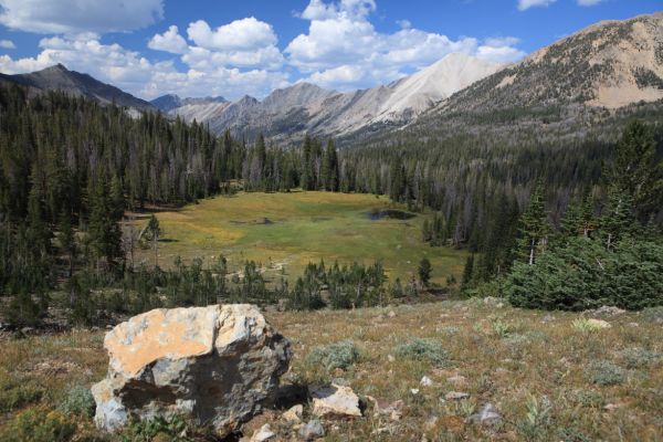 Meadow northwest of Born Lakes.
