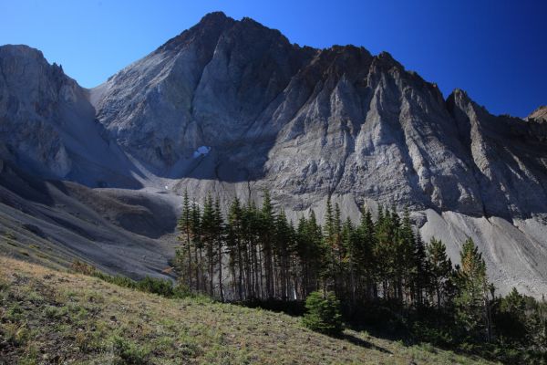 Castle Peak above a stand of conifers.
