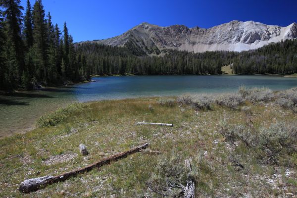 The lower of the Chamberlain Lakes (9197').  The nicest spot was occupied by a party that looked settled in for a week or two.  This was surprising, the day after Labor Day.
