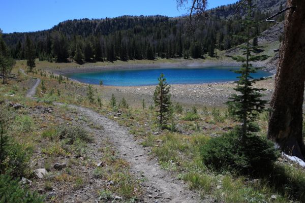 The trail passes this little jewel at the southwest end of Chamberlain Basin before the steep climb to the pass into the Washington Creek Drainage.  The color is stunning!  Did not fish here.
