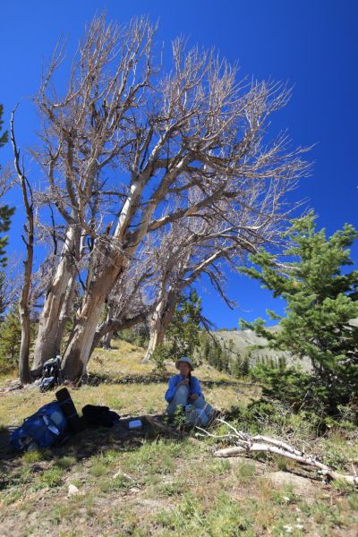 The pass is a superb place for lunch, with great views and shade.
