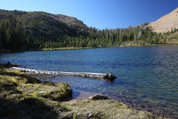 Washington Lake!  I wash my feet and change socks for the final 2.5 miles to the car.  Next time I will consider a direct cross country route over the saddle directly west of the lake to the upper Chamberlain Lake (9849').
