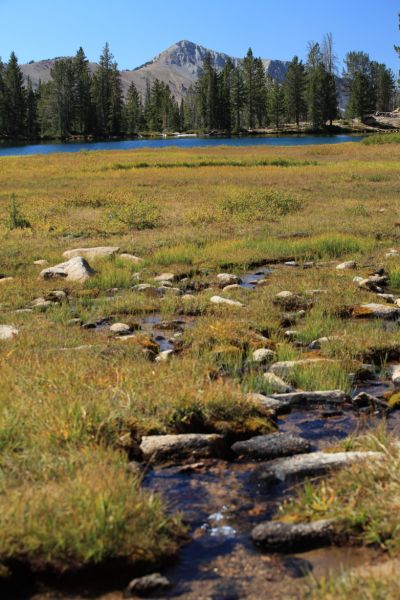 The inlet stream flowing through an alpine meadow to the larger of the Born Lakes.
