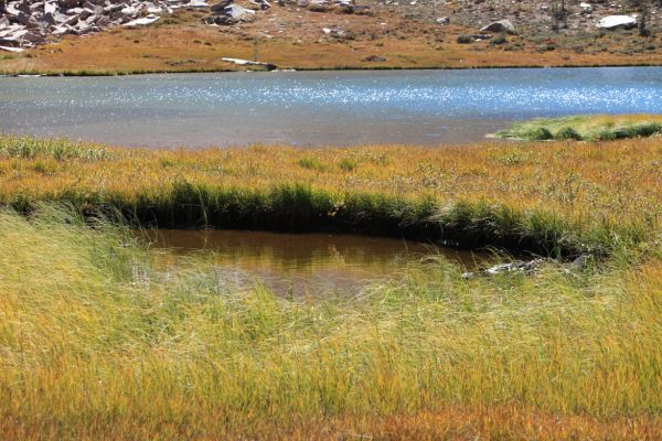 The view south across grassy meadows on the shoreline of the second highest of the larger Born Lakes, at 9555'.
