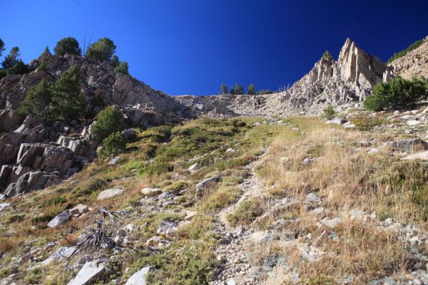 The route I just descended into Four Lakes Basin.  When traveling solo, I often photograph my route to expedite my return.
