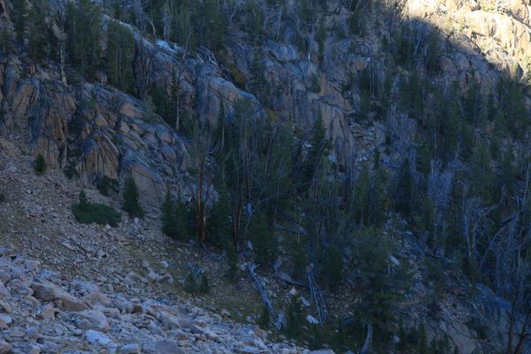 Photo (closer) documenting possible route descending from Scree Lake about midway between outlet and top of ridge; 5:24 pm.  I increased my pace in order to reach Four Lakes Basin, and unfortunately, did not stop to take any more photos the rest of the day.
