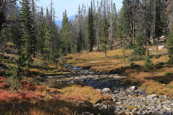 A stream below Born Lakes flows into Warm Springs Creek.
