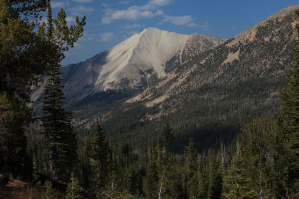 The constant play of shadows over the white limestone of D. O. Lee Peak from the trail just east of Ants Basin.
