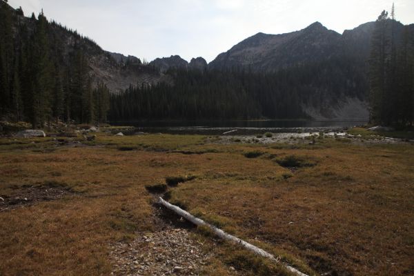 The meadow at the inlet of Airplane Lake.  No luck with dry flies or spinners.
