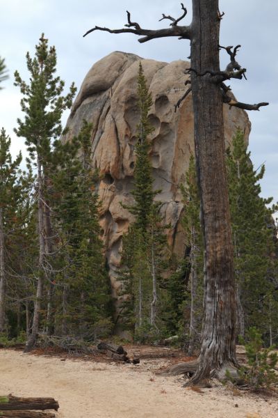 Solution pockets make for interesting climbing.
