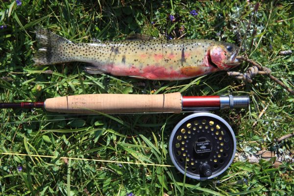 An 11" Brookie taken from the larger of the lakes at 8900'.  Not very big, but some welcome protein to supplement the backpack meals.
