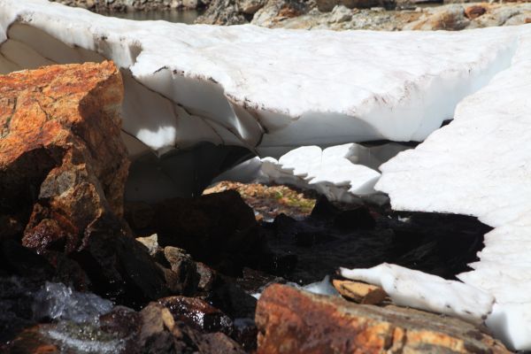 Rushing water has undercut the snow above to form a snow bridge.  The top of the snow couloir above Goat Lake is just ahead.
