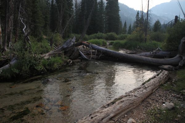 A little more than a mile and a half from the trail head, we utilize a fallen tree to cross amazingly clear Iron Creek.  It has been a demanding hike down, and at 7:15 pm, it's still not over. 
