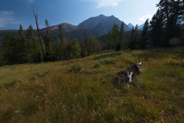 Meadows above Big Boulder Creek.  Castle Peak juts skyward south of the Boulder Chain Lakes.
