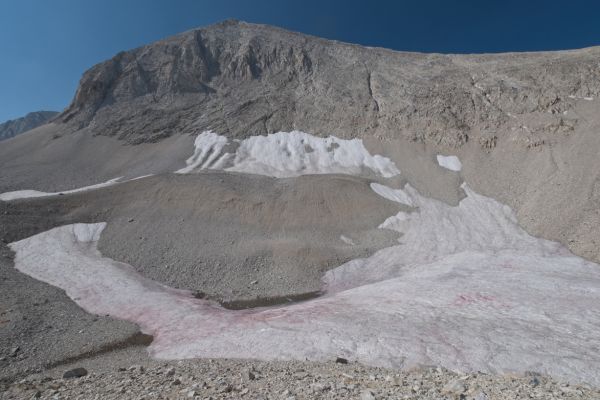 Perennial snow fields and tarn east of Cirque Lake, below the saddle.
