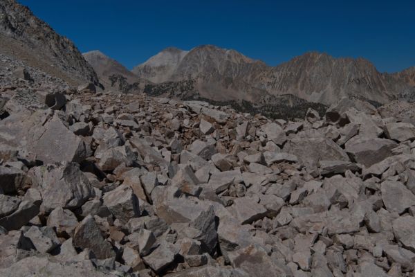 View to the north, toward Cove Lake.
